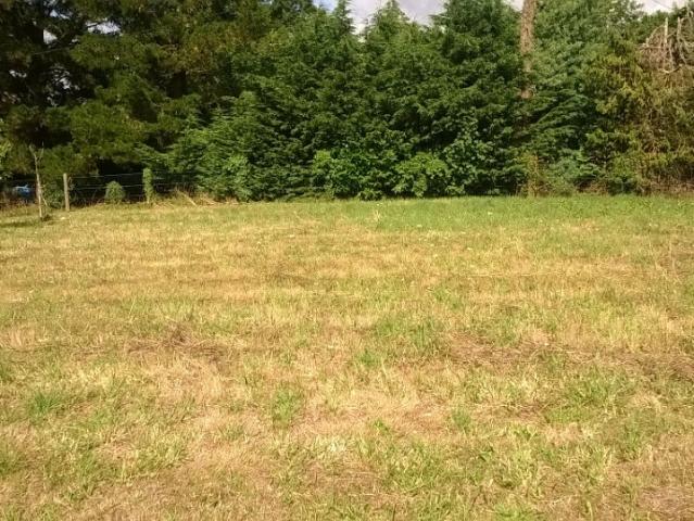 Margaux Vente Terrain 33