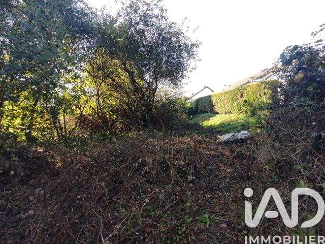 Marigny Vente Terrain 50
