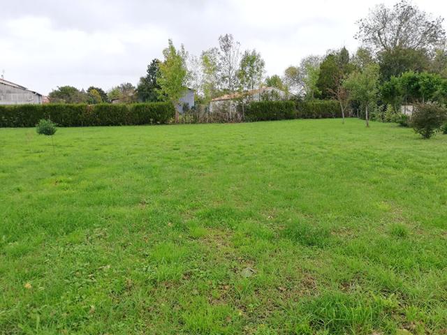 Marigny Vente Terrain 79