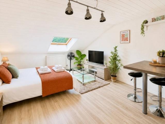 Marignier Vente Appartement 74