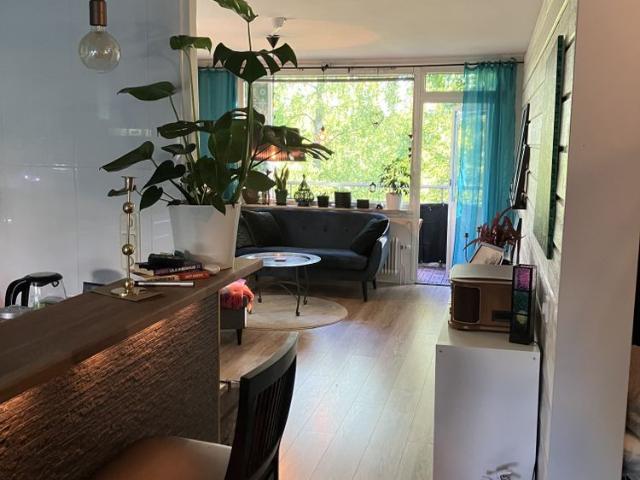 Mariehemsvägen, Umeå