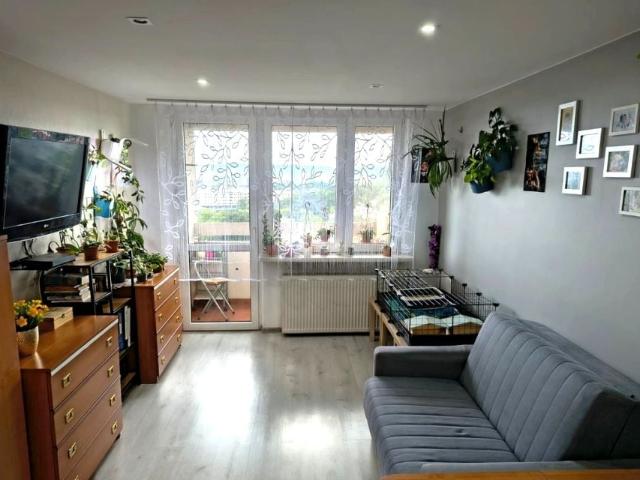 Marii Jaremy 43 m², Kraków