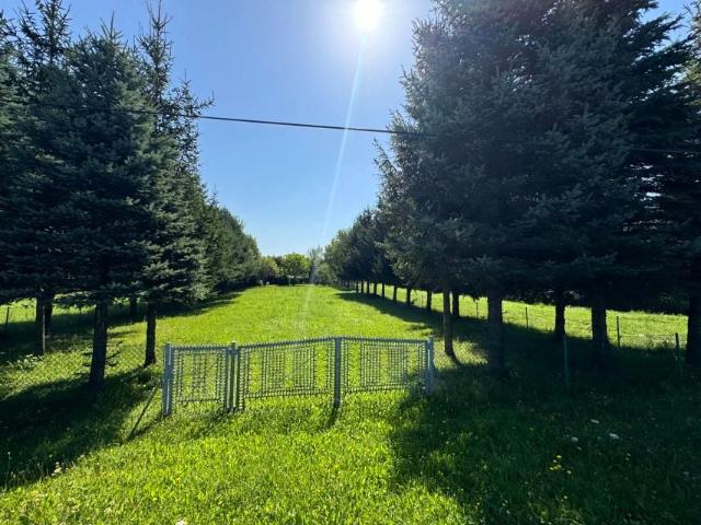 Marii Konopnickiej 1 950 m², Sanok