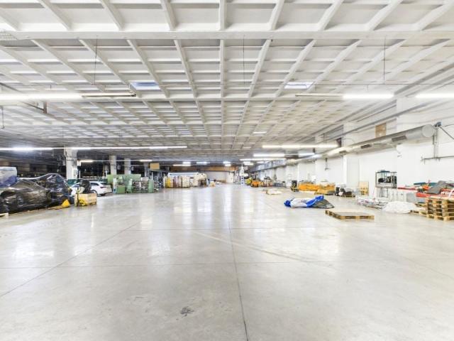 Marii Skłodowskiej Curie 14 432 m², Toruń