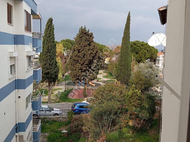 Marina'ya 250 Metre Yakın