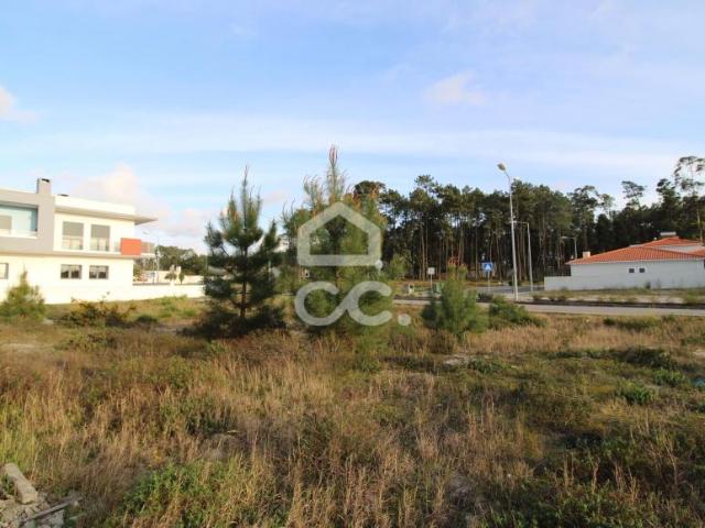 Marinha Grande Leiria 54300429