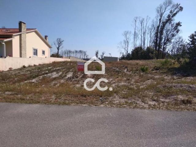 Marinha Grande Leiria 79982953