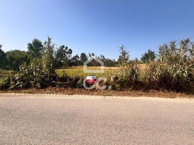 Marinha Grande Leiria 79204533