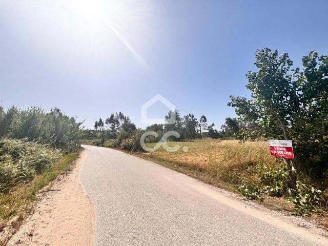 Marinha Grande Leiria 79204533