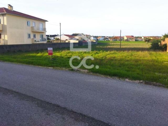 Marinha Grande Leiria 79204565