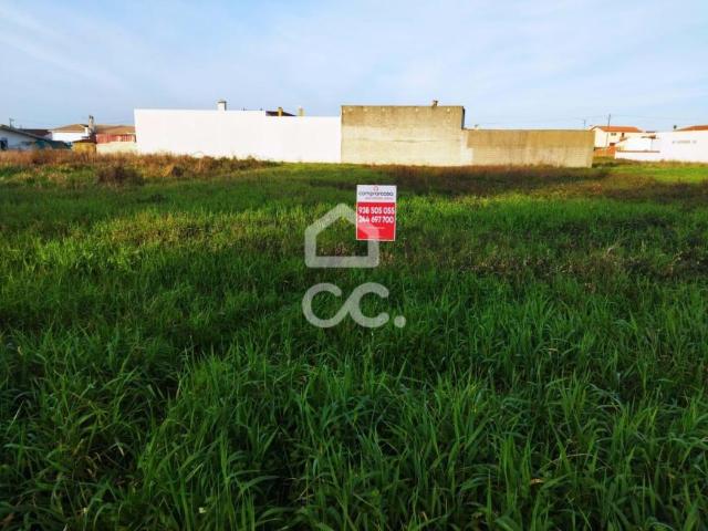 Marinha Grande Leiria 79204571