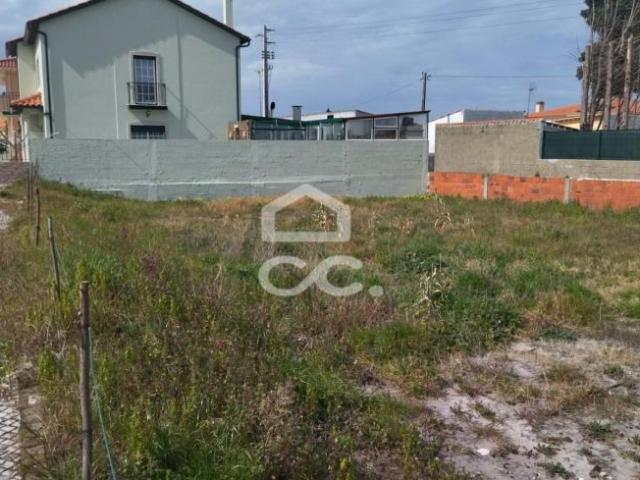 Marinha Grande Leiria 79204595