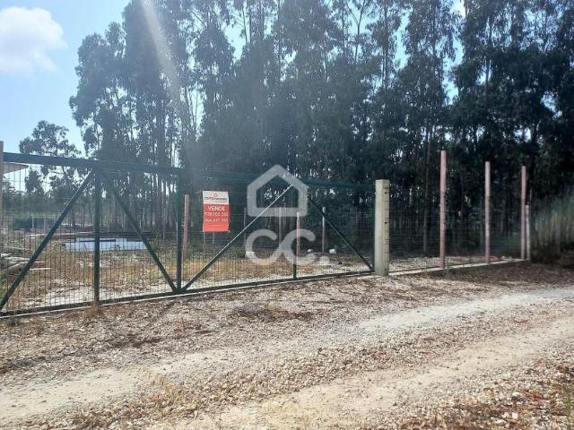 Marinha Grande Leiria 79204630