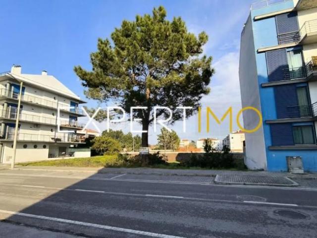 Marinha Grande Leiria 91598545