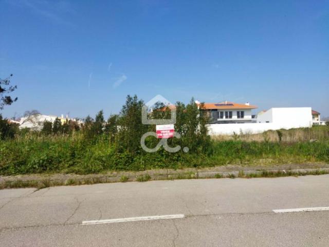 Marinha Grande Leiria LS96657105