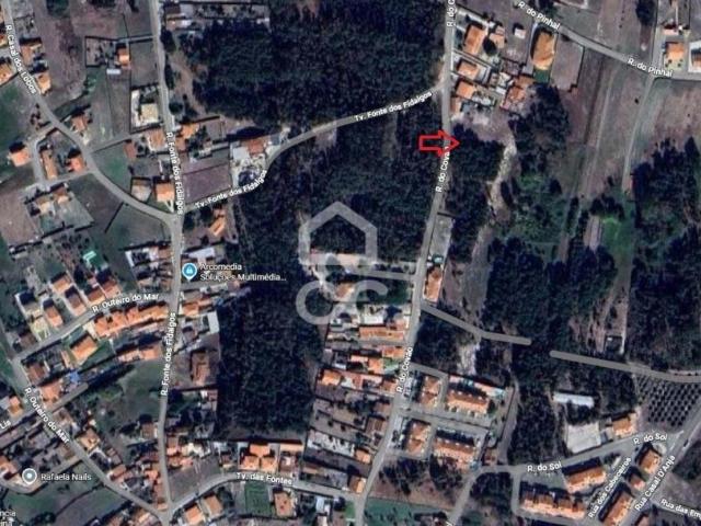Marinha Grande Leiria LS102753512