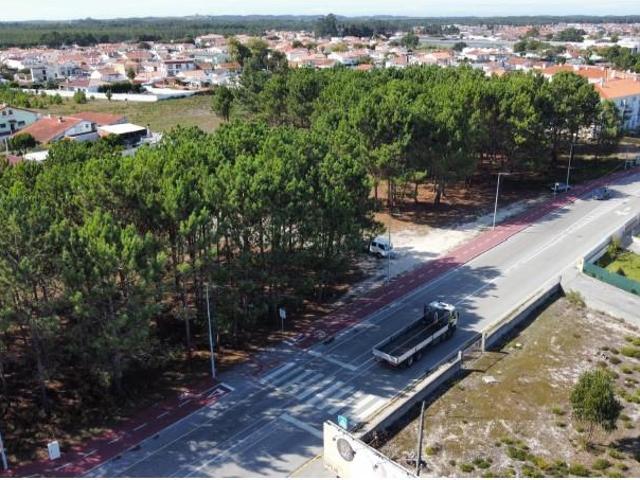 Marinha Grande Marinha Grande 97122481