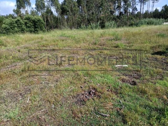 Marinha Grande Marinha Grande 97940226