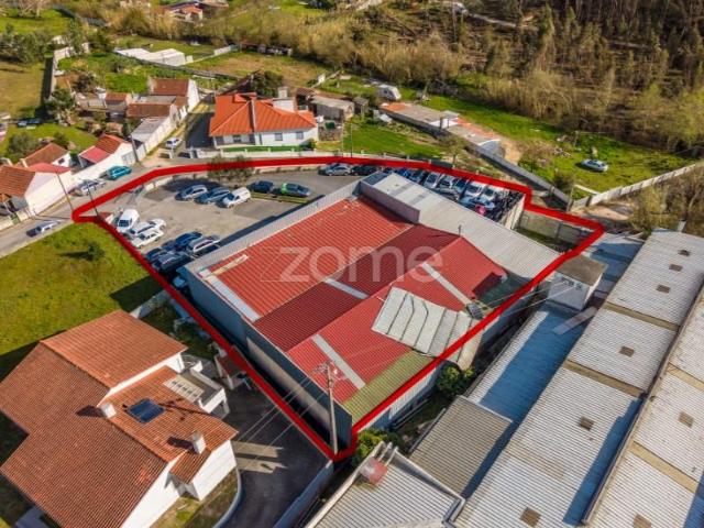 Marinha Grande Marinha Grande 99051124