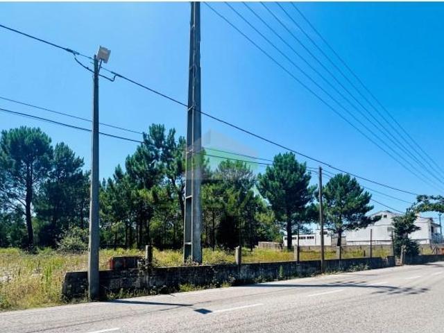 Marinha Grande Marinha Grande 101624210