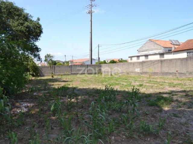 Marinha Grande Marinha Grande 101201732