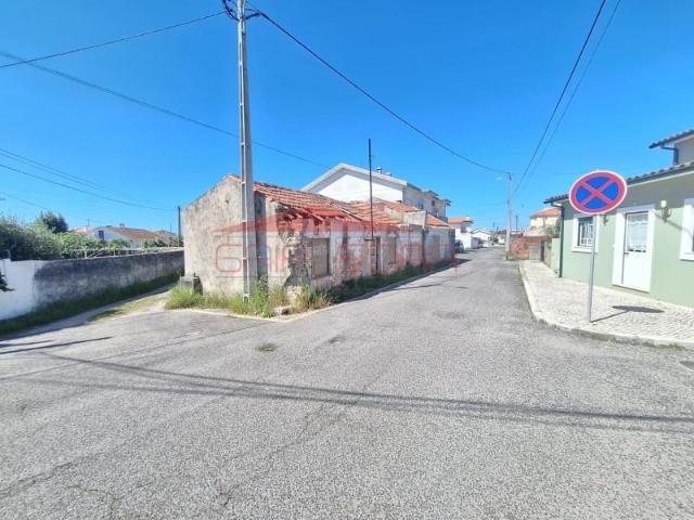 Marinha Grande Marinha Grande 2430 181 LS87079754