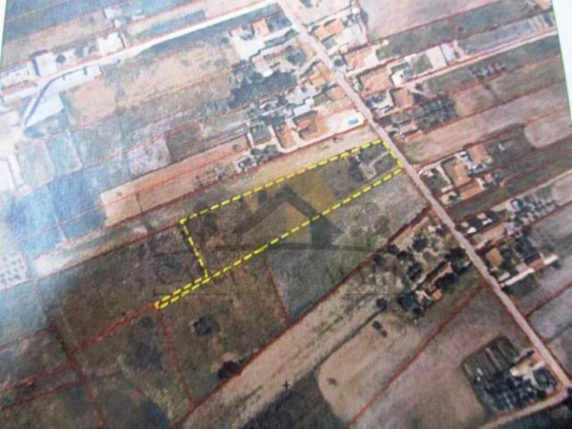 Marinhais Terreno