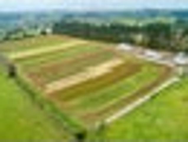 MARKET GARDEN or ORCHARD