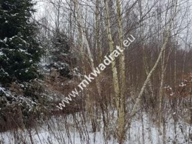 Marków Towarzystwo, 14000 m² Działka