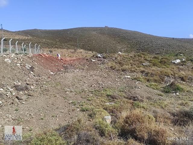 Marmaris Bozburun Giyniyitbük Koyuna yakın Yol kenarı düz tarla