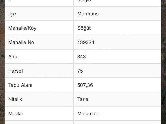 Marmaris Neta Emlaktan Söğüt köyde yatırımlık Tarla