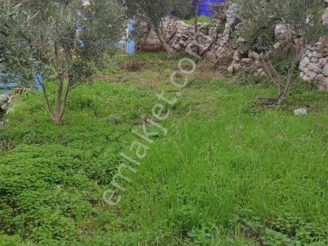 Marmaris Söğütte 609 M2 Arsa İçinde Müstakil Satılık2+1