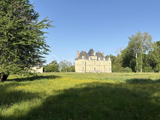 Marolles sur Seine Vente Propriété/château 77