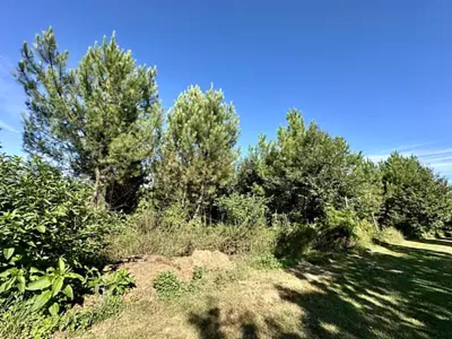 Marquay 24620 Achat / Vente terrain