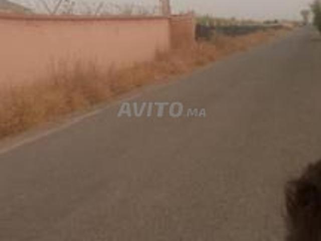 Marrakech Souihla