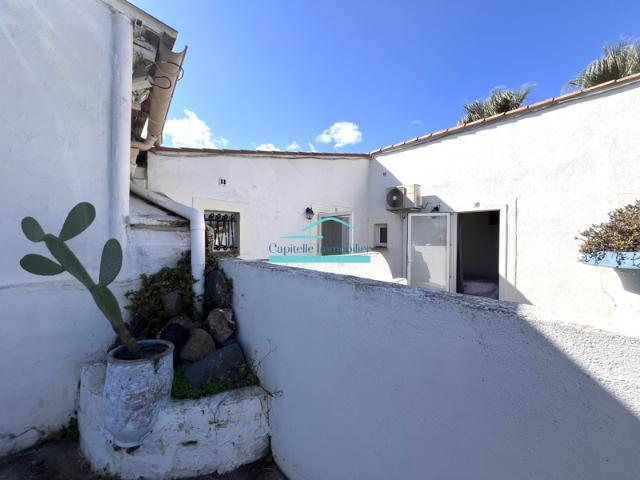 Marseillan, Propriété 14 pièces sur un grand terrain