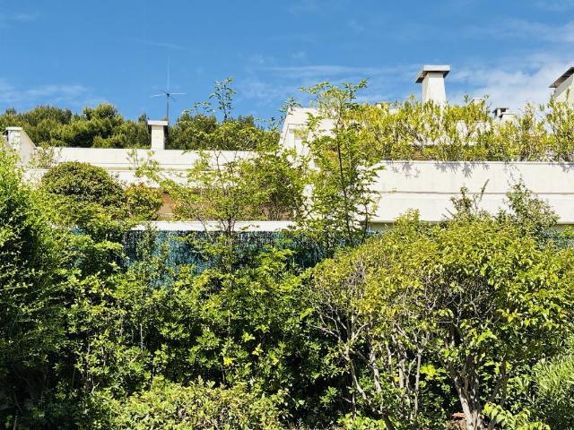 Marseille 11 Vente Appartement 13