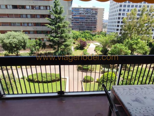 Marseille 6 Vente Appartement 13