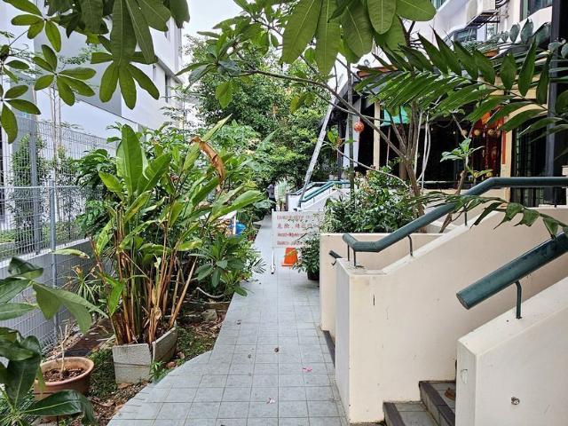 Marshall Road D15, Terrace