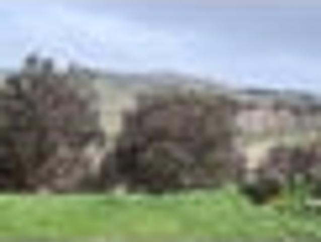 Masterton, 1 bedroom, $500 pw