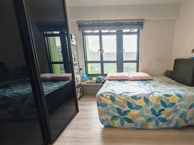 Master Room @ Alkaff Crescent 115C! SINGLE LADY OWNER!