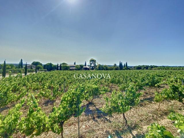 Mas 1200m² Montpellier