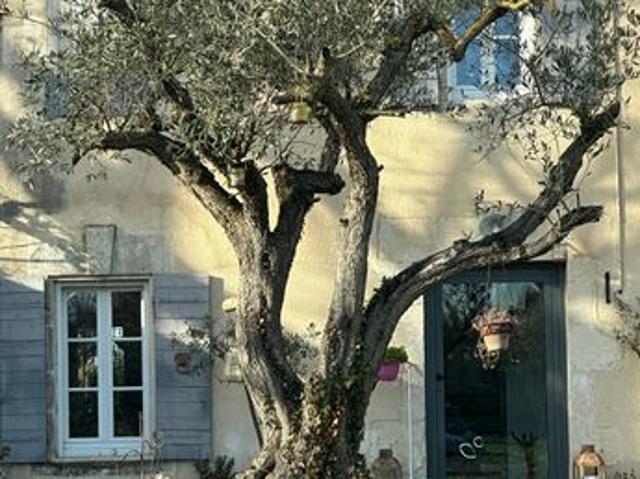 Mas 7 pièces 255 m²