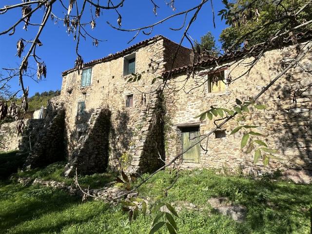 Mas catalan sur plus de 39 hectares 200m² Prats de Mollo la Preste
