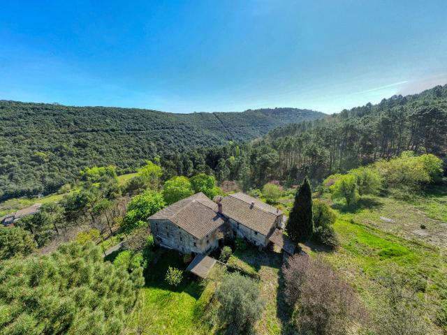 Mas Cévenol avec Terrain 11Ha