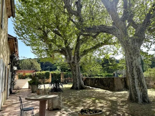 Mas authentique avec piscine et bassin en pierres