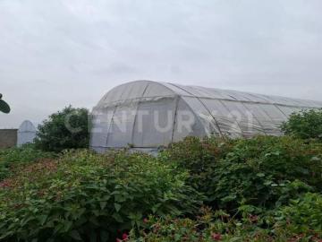 mas de 3400m2 de oportunidades, haz realidadun proyecto de gran escala