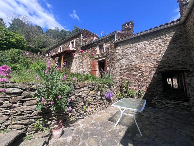 Mas de charme avec gîte et piscine