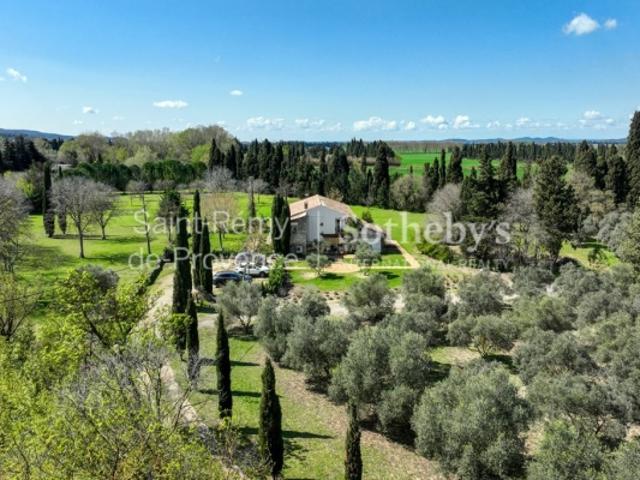 Mas en pierre au cœur d'une oliveraie, Saint Rémy de Provence