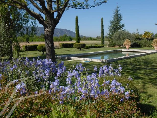 Mas en pierre à vendre proche de Gordes: Charme provençal. 397m² Cabrières d'Avignon